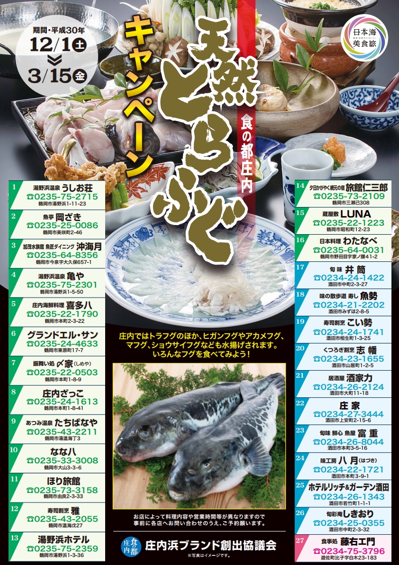 クラゲで有名な加茂水族館で天然とらふぐが激安で食べられる